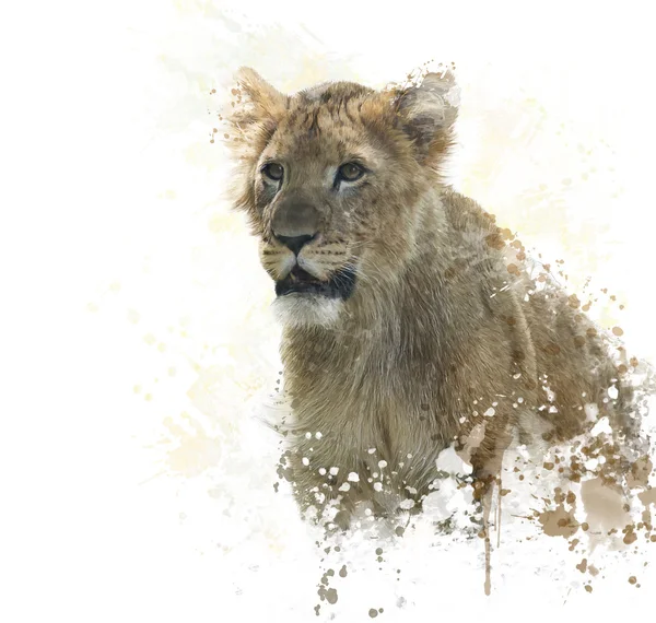 Lion Cub akvarell — Stockfoto