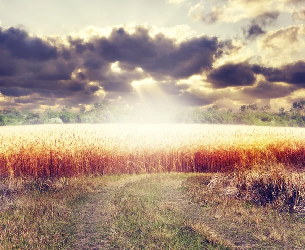 Puesta de sol sobre un campo —  Fotos de Stock