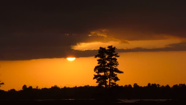Захід сонця у Флориді водно-болотних угідь — стокове відео