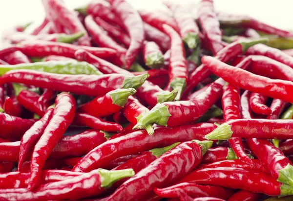 Červené chilli papričky — Stock fotografie