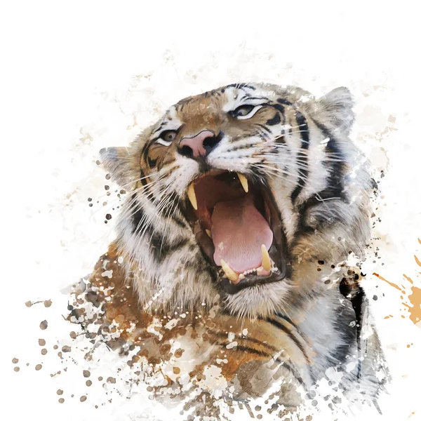 Tygrys portret akwarela — Zdjęcie stockowe