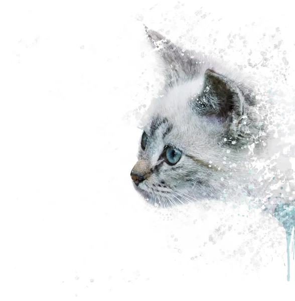 White Kitten portrait watercolor — Stock Photo, Image