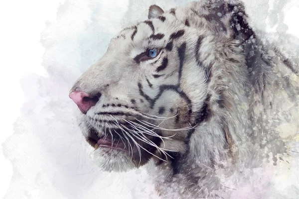 Vit Tiger Digital Illustration Vit Bakgrund — Stockfoto
