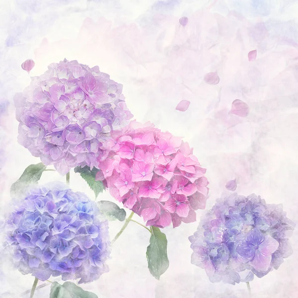 Watercolorl Painting Hydrangea Flowers Digital Illustration — Stock Photo, Image