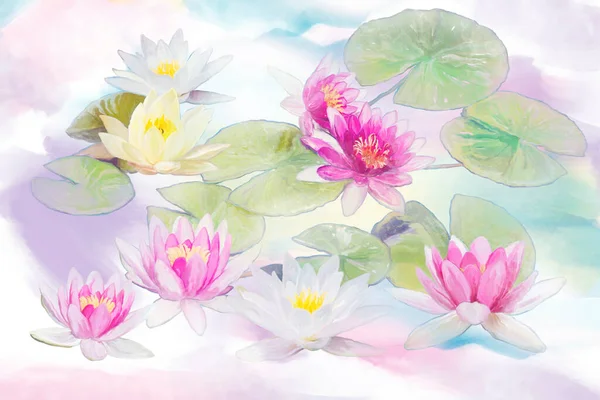 Lírio Água Rosa Branca Flores Uma Lagoa Pintura Digital — Fotografia de Stock