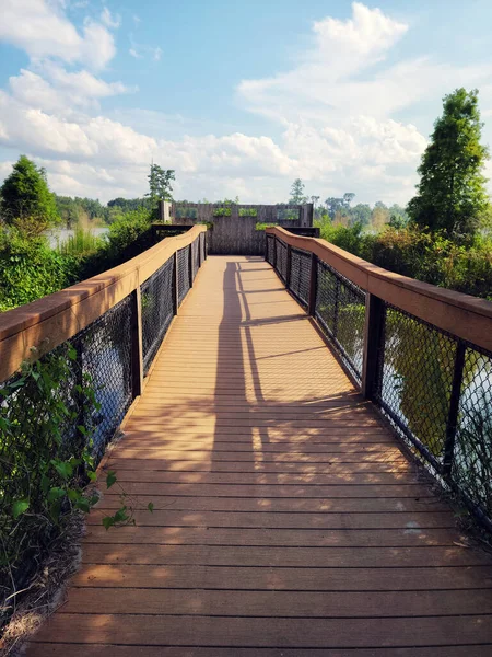 Wooden Observation Deck Florida Wetland — Stock Photo, Image