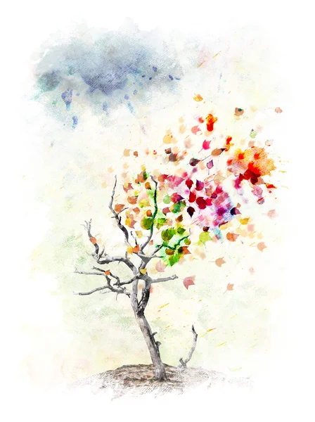 Autumn Tree Concept — Stock Photo, Image