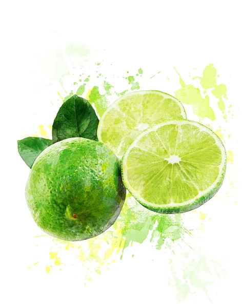 Imagem aquarela de Limes frescos — Fotografia de Stock