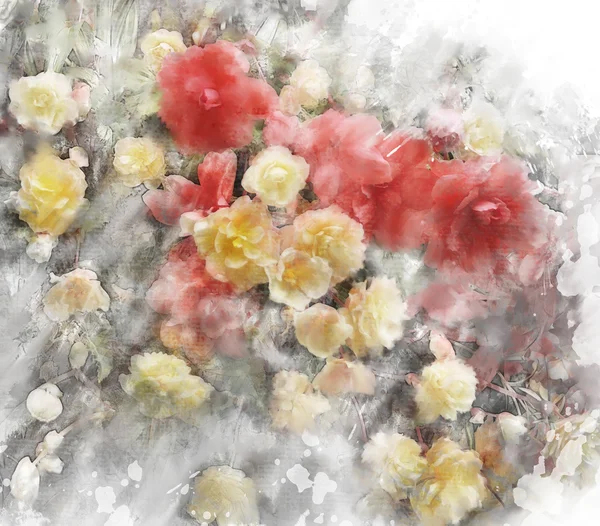 Watercolor Image Of Begonia Flowers — Stock Photo, Image
