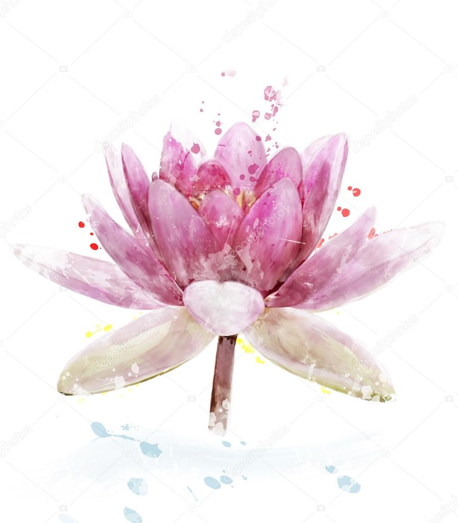 Watercolor Image Of Pink Waterlily Flower