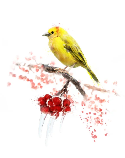 Aquarell Bild des gelben Vogels — Stockfoto