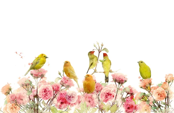 Λουλούδια και πουλιά — Φωτογραφία Αρχείου