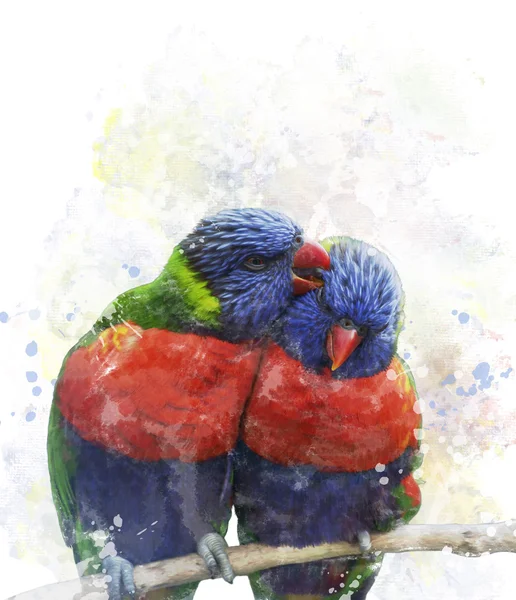 Szivárványos lóri papagájok — Stock Fotó