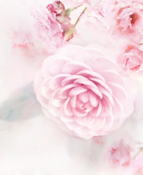 Rosas rosa aquarela — Fotografia de Stock