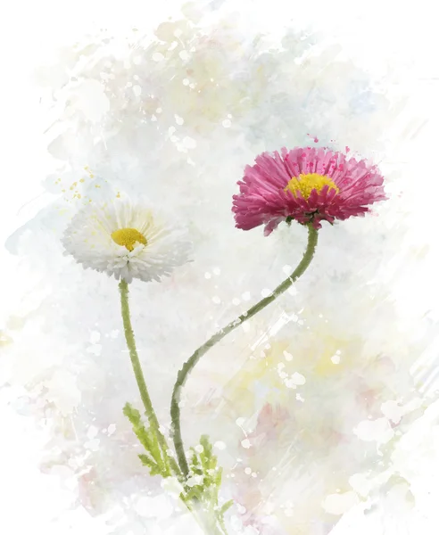 Lente bloemen aquarel — Stockfoto