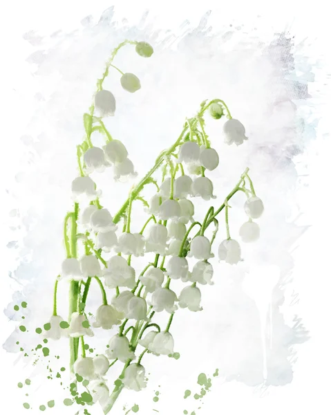Lily Of The Valley aquarel — Stockfoto