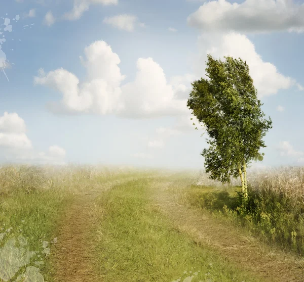 Sommar landskap akvarell — Stockfoto