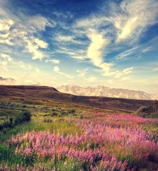 Mountain Landscape — Stock Photo, Image