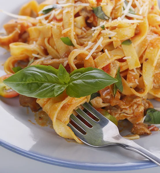 Fettuccine tészta csirkével — Stock Fotó