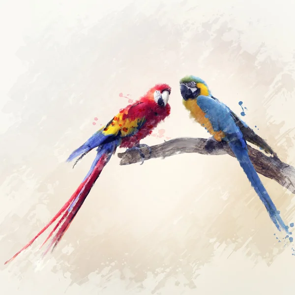 Два папуги акварель — стокове фото