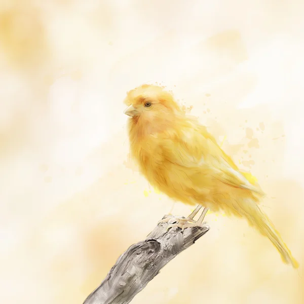 Aquarelle oiseau jaune — Photo