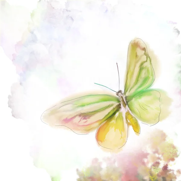 Schmetterling-Aquarell — Stockfoto