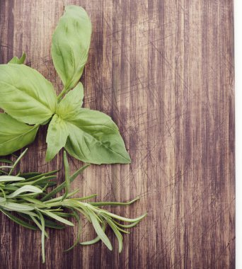 Taze fesleğen ve biberiye