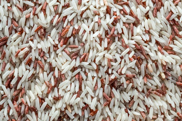 糙米，毁于红色面粉甲虫，科学名称"特里博尔 — 图库照片