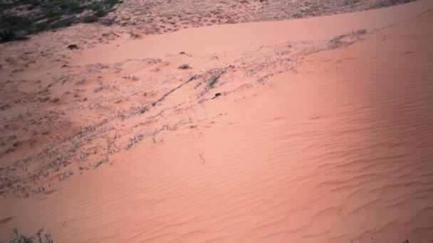 Duna de arena roja en Mui Ne, Vietnam. El famoso lugar e impresionante, la inclinación de la cámara de seguimiento de disparo, de alta calidad en HD — Vídeos de Stock