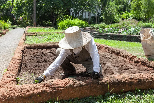 farmer wearing hat and white shirt is preparing soil for agricul