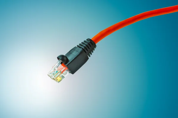 LAN-Ethernet-Kabel für Computer — Stockfoto