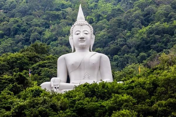 Velký Buddha bílé barvy, v chrámu Wat Thep Phitak Punnaram v th — Stock fotografie