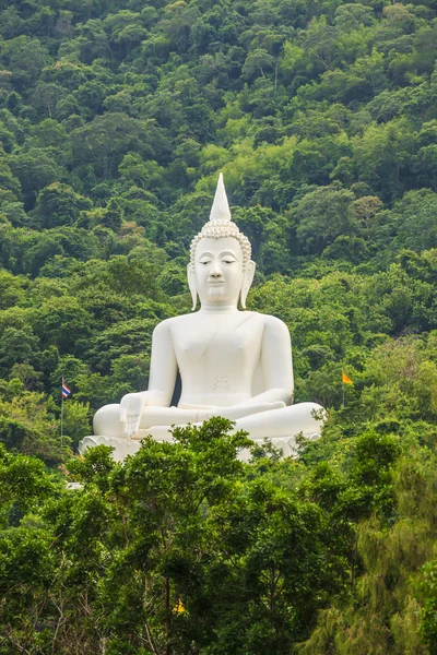 Wielki Budda biały kolor, w świątyni Wat Thep Phitak Punnaram w th — Zdjęcie stockowe