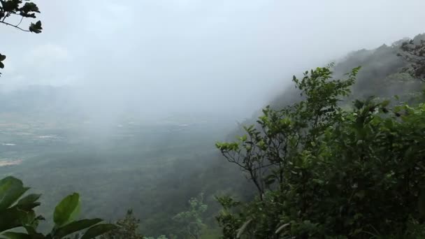 Niebla del bosque brumoso que sopla sobre la montaña y el bosque — Vídeos de Stock