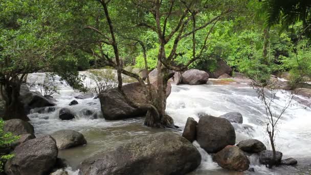 Vízesés nevek "Nang Rong", Nemzeti Park, Nakhon Nayok, Thaiföld — Stock videók