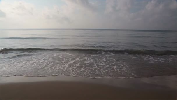 Welle am Strand in der Abenddämmerung — Stockvideo