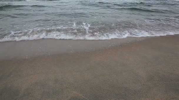 砂浜の海の波 — ストック動画