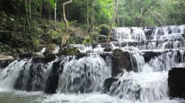 Milli Park'ta orman şelalesi, manzaranın yanında çekim