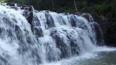 Milli Park'ta orman şelalesi, manzaranın yanında çekim