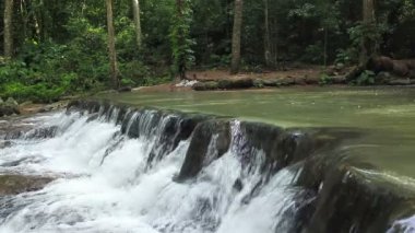 Milli Park'ta orman şelalesi, manzaranın yanında çekim