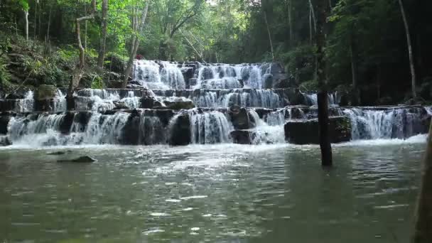 Forest vattenfall i nationalparken — Stockvideo