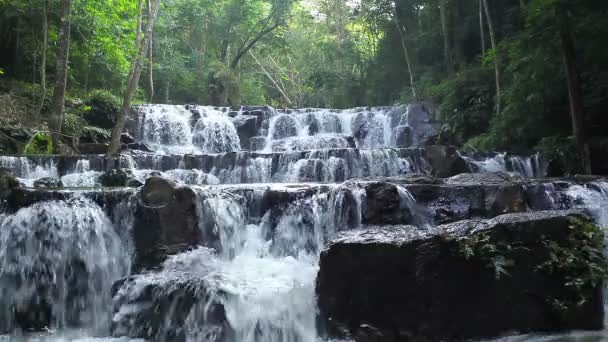 Forest vattenfall i nationalparken — Stockvideo