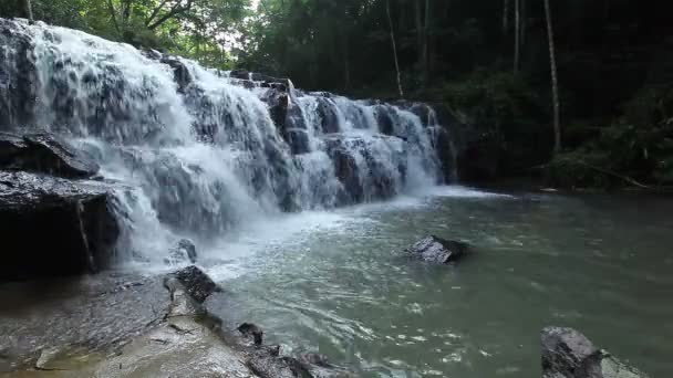 Лесной водопад в Национальном парке, рядом с видом снимок — стоковое видео