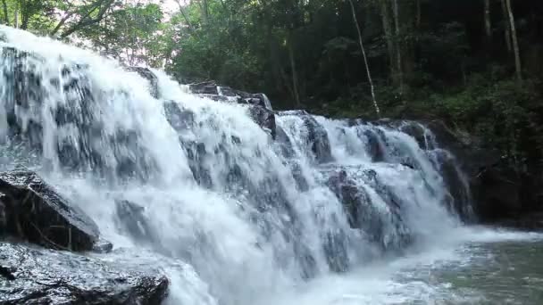 国立公園の森の滝、ビューショットの横 — ストック動画
