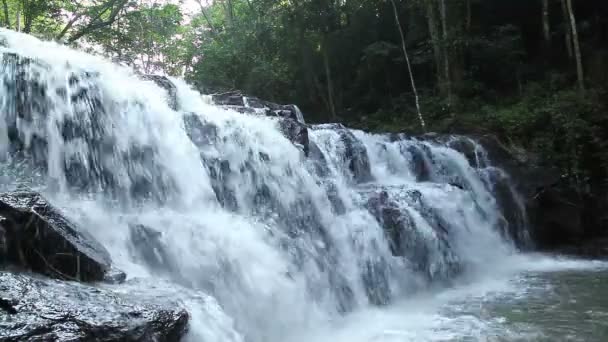 Cascada del bosque en el Parque Nacional, al lado de la vista — Vídeo de stock