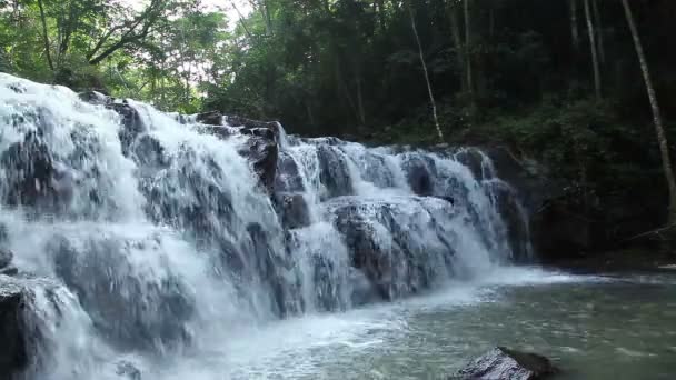 Erdei vízesés a nemzeti parkban, a kép mellett — Stock videók