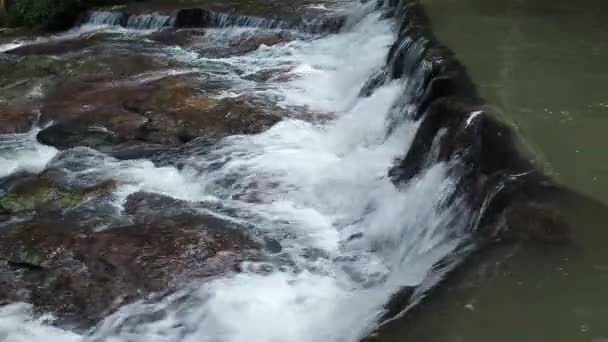 Лесной водопад в Национальном парке, рядом с видом снимок — стоковое видео