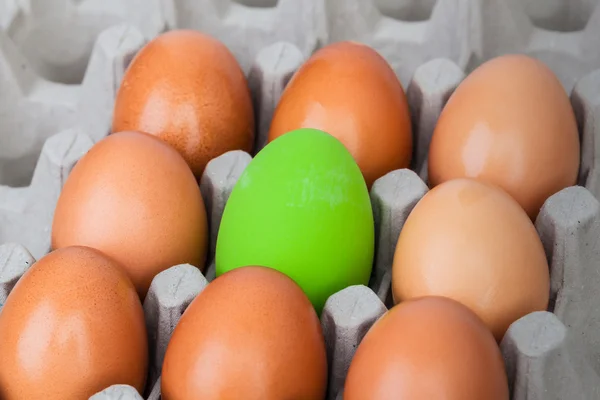 Groene kleur eieren op krat voor vakantie Pasen festival, kunt u een — Stockfoto