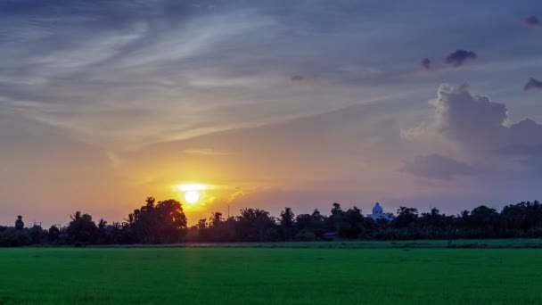 Ciel coucher de soleil et champ de riz vert comme premier plan HD, jour à la nuit crépuscule laps de temps — Video