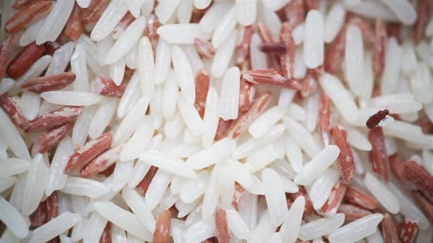 Feijão de farinha vermelha, nomes de ciência "Tribolium castaneum" ou gorgulho estão em arroz integral, close-up em HD — Vídeo de Stock
